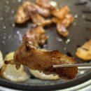 꿀꿀뒷고기 이미지