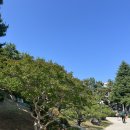 챔피언애견 | [부산 황령산 근처 핸드드립 커피 맛집] 월드 바리스타 챔피언 모모스커피 도모헌점 내돈내산 후기