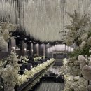 연제구-140 | W3. 부산 W웨딩 국민연금 웨딩홀 블랙홀 에메랄드홀 국민연금웨딩홀주차 장단점후기