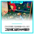 배다골민속박물관 이미지