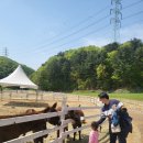 굴레목장 이미지