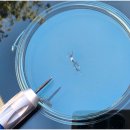 서경자동차유리