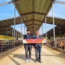 제일한우농장 이미지