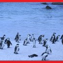 신원덴탈(주) 이미지