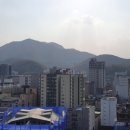 엠시티부동산공인중개사사무소 이미지
