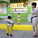 고려용호태권도 이미지