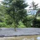 몽지리 캠핑장 이미지