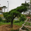 하루농장 이미지