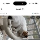 DE059 | 2025.10.04 - 스페인 2일차 (리스본 2일차)