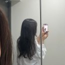 엘가닉바이오 | 헹굼 필요없는 노워시 헤어 트리트먼트 추천 엘가닉 캔트리트먼트