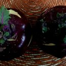 집밥&퓨전요리 이미지