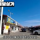 신도모터스 이미지