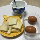 상하한샘목장 | 반려입덧과 함께하는 30주차 임산부 일기 + 30주 만삭사진 촬영