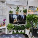 좋은집좋은상가공인중개사사무소 | 범박동공인중개사사무소 좋은집공인중개사사무소와 함께한 따뜻한 집 찾기