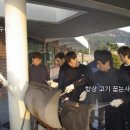 거제비치텔 이미지