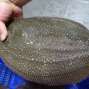 형제수산 이미지