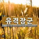 함께 알아보는 용어 : 유격장군 (遊擊將軍) 유기장군 (遊騎將軍) 유덕대부 (綏德大夫) (261) 이미지