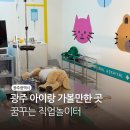 8월 성인 내게 온 문화창고 | 광주 국립아시아문화전당 꿈꾸는 직업놀이터, 8월 31일까지! 4개 직업 체험 성공 꿀팁