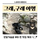 지리산 마리공방 | [구례] 조용하지만 낭만이 묻어있는 구례 여행, 맛집부터 구례 가볼 만한 곳까지