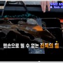 완도참전복 이미지