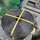 대성소프트 이미지