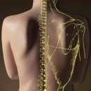 제물포한의원 이미지