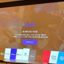 세상 아늑한 동물의 숲st 왕십리 파티룸, 왕십리 모임/파티장소 아기자기 코지 파티룸