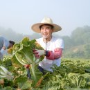 김진태 농가 이미지