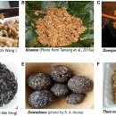 Re: 알칼리성 발효 2022 리 이미지