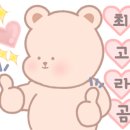 삼전사진관 이미지