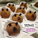 [성수맛집] 캣앤에프 - 강원도옥수수소금빵 카피바라번 냥냥이찰빵 성수동핫플