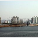 새한빛약국 이미지