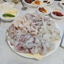 남해 창선바다 초장집 활어회 미친 양과 퀄리티 ㄷㄷㄷㄷㄷ.jpg 이미지