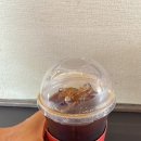 평화LPG충전소 | 서울 양양 고속도로 홍천 휴게소(양양 방향)