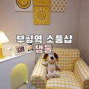 댕둘 이미지