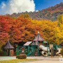 원적산공원 이미지