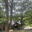 무릉도원면-25 이미지