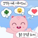 인성트레이더스 | [26.4.13-26.5.4] 필합 후 면접까지