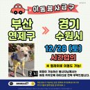 로지/부산연제구＞경기 수원/12월28일(토)시간협의 이미지