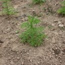 우승농장 이미지