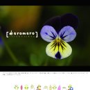 특이한광고기획