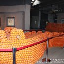 황암농장 네이버블로그