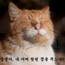 키시