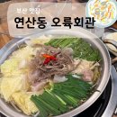 연제구-163 | 연산동 점심추천 ‘오륙회관’ 육회비빔밥, 칼국수 후기