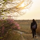 Seoul Trekkers