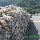 도산일주로 이미지