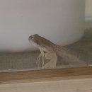 예초자연어린이집 이미지