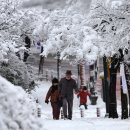 3월초에큰눈(雪) 이미지