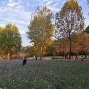 어린이대공원 이미지