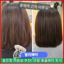 이쁘냥 고양이미용실 서대문점 | 홍은동 미용실 단발 볼륨매직! 릴리헤어 아라쌤 추천